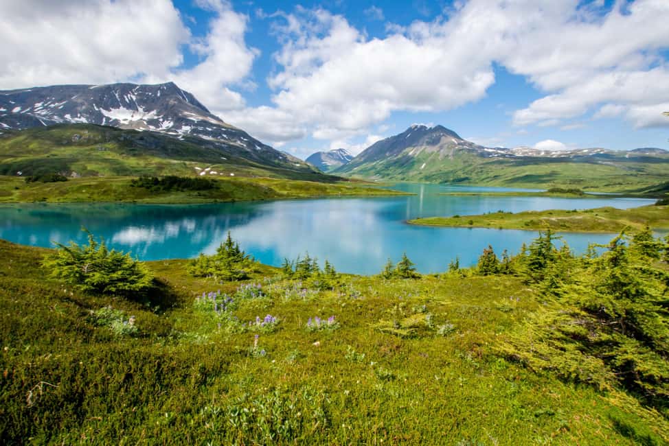 image n.4 of From Seward: Lost Lake Trail Hiking activity in Alaska, uploaded by supplier