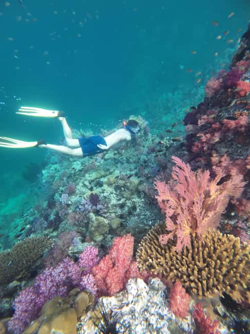 image n.18 of Koh Lipe: Longtail Boat Snorkeling Trip with Lunch activity in Gulf of Thailand, uploaded by supplier