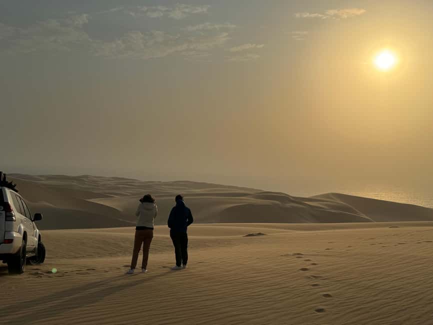 image n.37 of Walvisbay: Sandwich Harbour 4x4 Tour-Unparalleled Experience activity in Erongo, uploaded by supplier