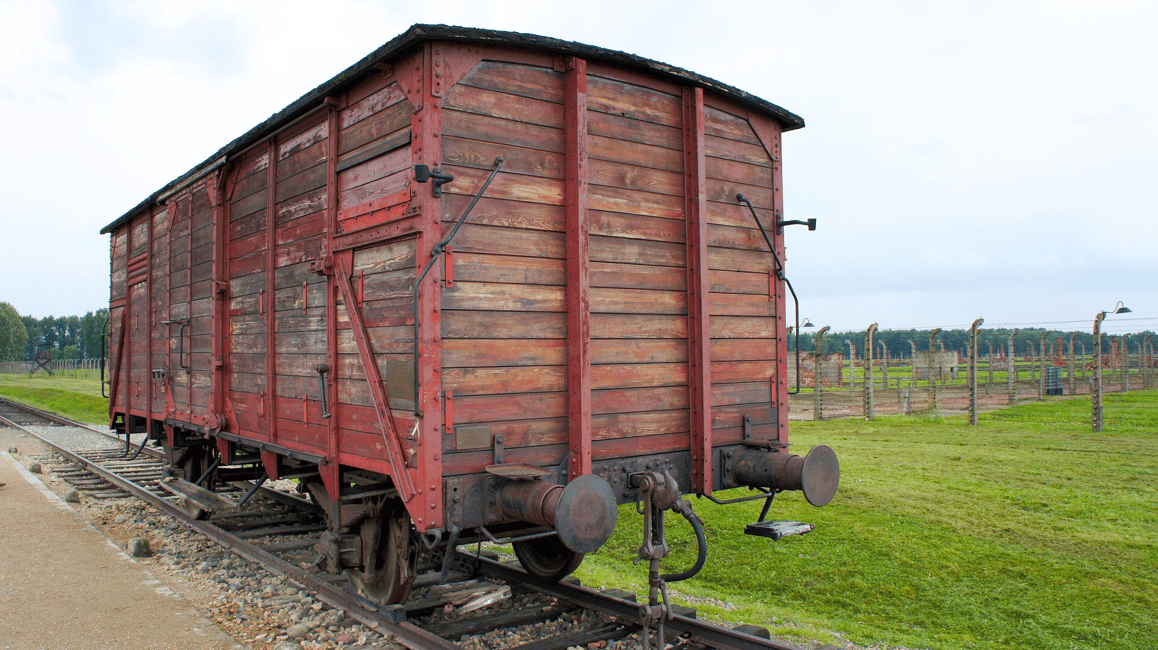 Image N°8 de Cracovie : visite guidée ou visite autonome d'Auschwitz-Birkenau activité à Oswiecim, publiée par le prestataire