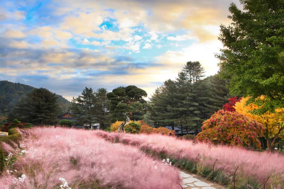 imagem n.16 de Seul: Tour Alpaca/Nami/Jardim da Manhã Calma (+ Bicicleta de comboio) atividade em Gapyeong-gun, carregada pelo fornecedor