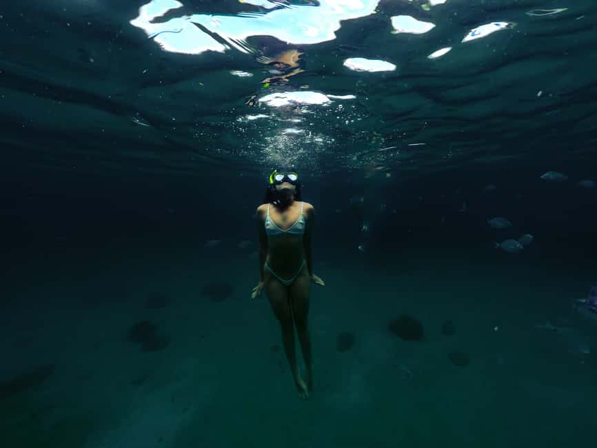 image n.10 of From Ilha Grande: Shared Transfer to Rio de Janeiro activity in Rio de Janeiro, uploaded by supplier