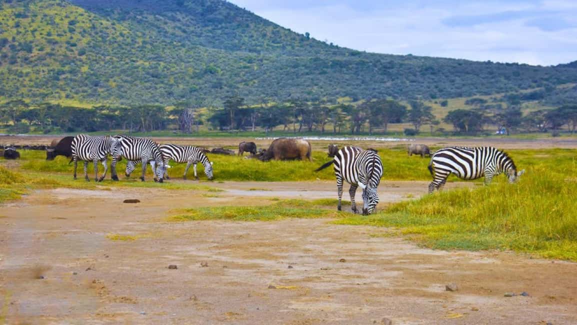 image n.49 of From Nairobi:Full Day Tour to Hell’s Gate National Park activity in Nakuru, uploaded by supplier