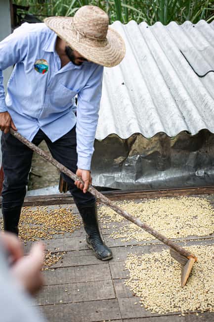 imagem n.49 de Medellín: Tour do café, chegada a cavalo e cana-de-açúcar atividade em Medellín, carregada pelo fornecedor