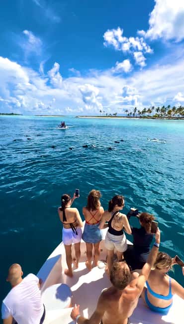 afbeelding n.8 van Maafushi: verpleegsterhaaien, pijlstaartroggen, zandbanken en dolfijnen activiteit in Malediven, geüpload door aanbieder