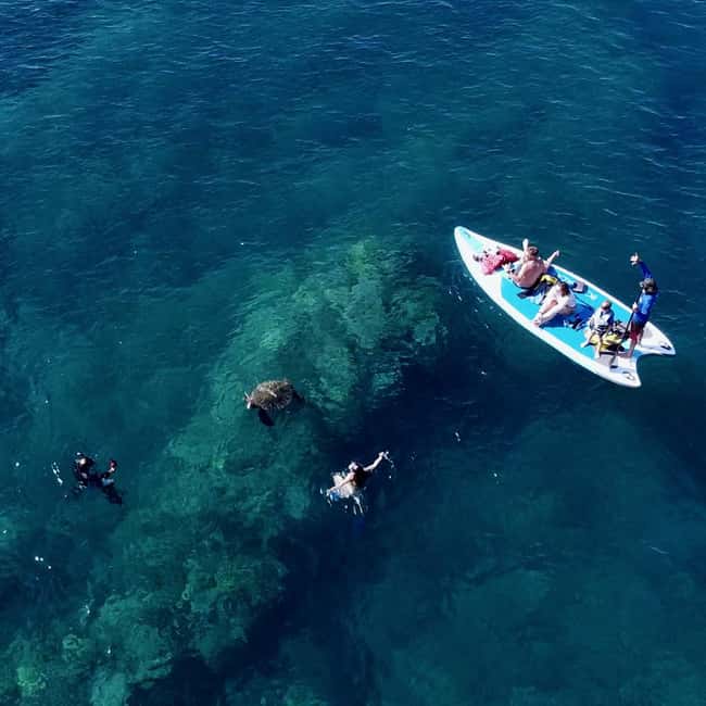 image n.16 of Wailea Beach: Snorkeling for Non-Swimmers Guided Tour activity in Wailea, uploaded by supplier