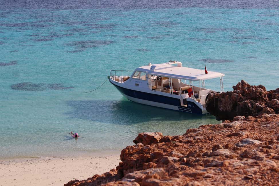 Immagine nº 3 di Muscat: tour di snorkeling con le tartarughe alle isole Daymaniyat attività a Mascate, caricata dal fornitore