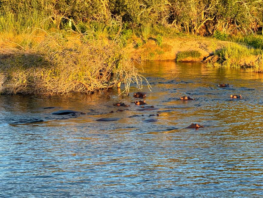 image n.5 of Victoria Falls: Sunset Cruise on the Zambezi River activity in Victoria Falls Town, uploaded by supplier