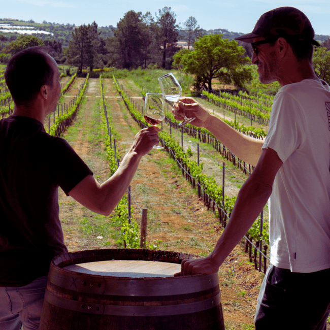 image n.1 of From Albufeira: Full-Day Wine Tasting Tour with a Guide activity in Monchique, uploaded by supplier