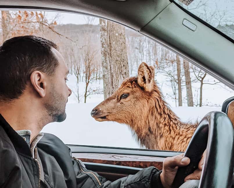 imagem n.11 de Otava: Safari privado de aventura na vida selvagem no Parc Omega atividade em Montebello, carregada pelo fornecedor