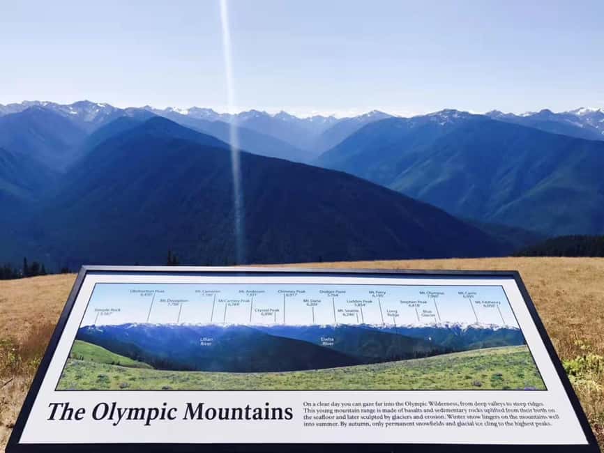 image n.3 of Seattle: Olympic National Park Full-Day Tour & Scenic Ferry activity in Port Angeles, uploaded by supplier