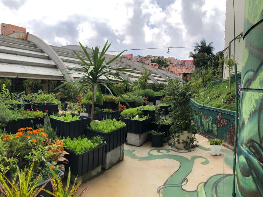 image n.5 of Paraisópolis: São Paulo's Vibrant Favela & Its Hidden Artist activity in São Paulo, uploaded by supplier