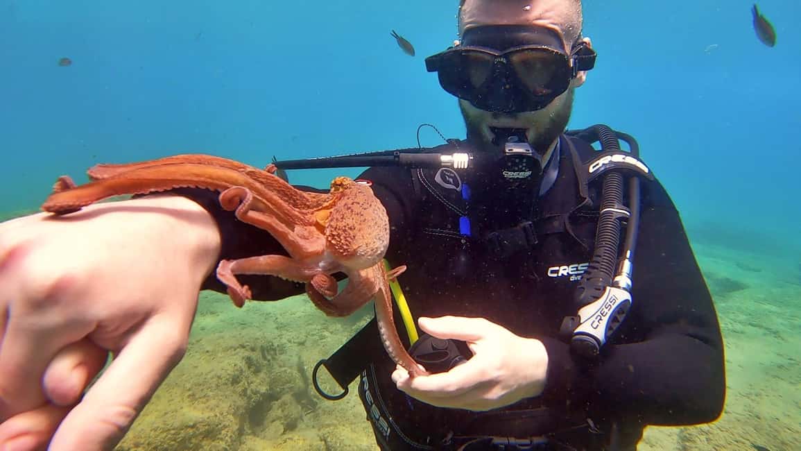 Immagine nº 5 di Heraklion: Lezione di immersione subacquea per principianti con istruttore PADI attività a Agia Pelagia, caricata dal fornitore