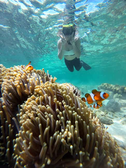 image n.32 of Koh Lipe: Longtail Boat Snorkeling Trip with Lunch activity in Gulf of Thailand, uploaded by supplier