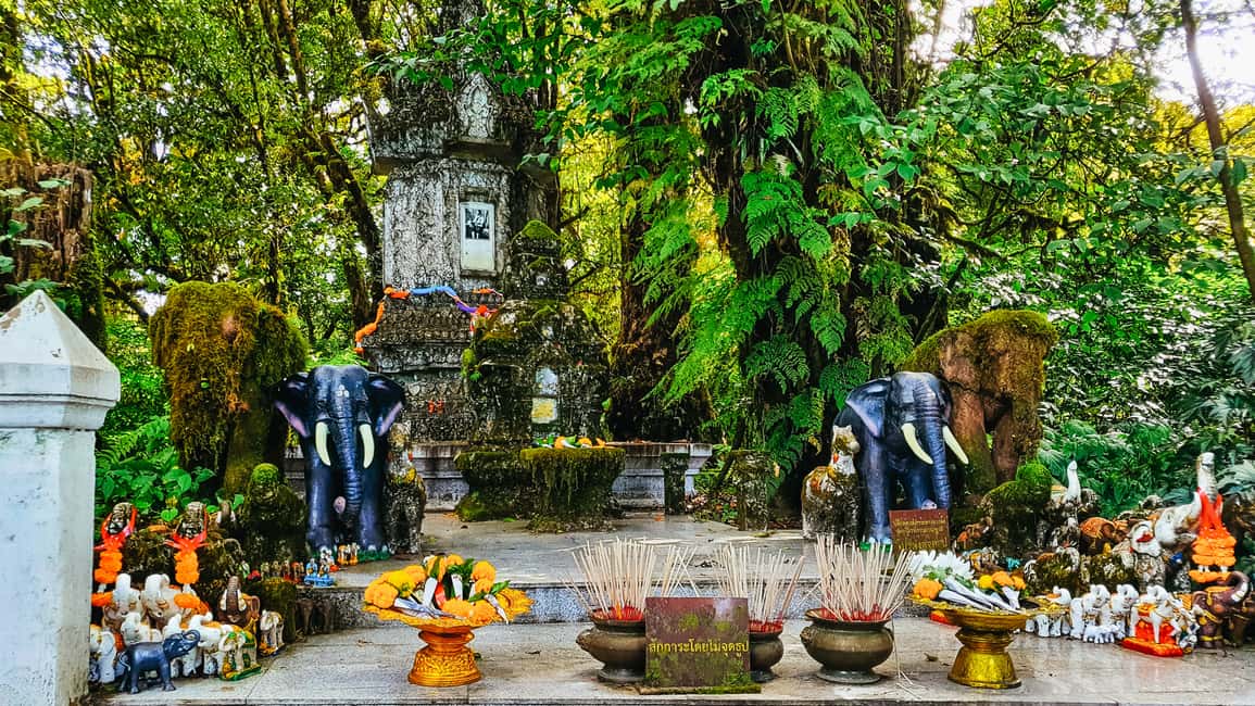 image n.18 of Chiang Mai: Doi Inthanon National Park Eco-Friendly Tour activity in Chiang Mai, uploaded by supplier