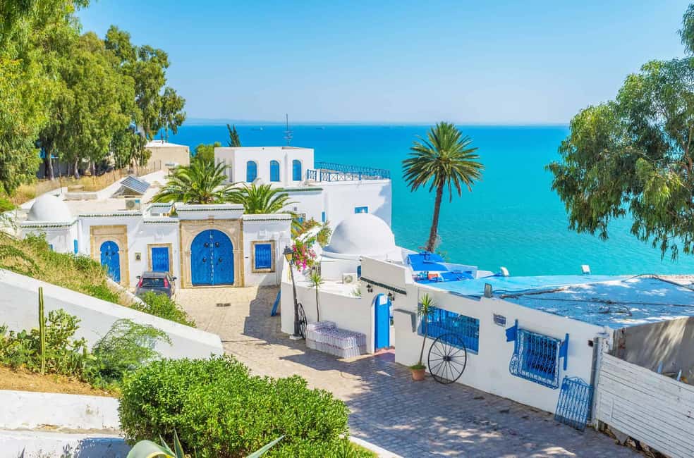 Image N°7 de Tunis : Visite privée de Carthage, Sidi Bou Said et la Médina activité à Monastir, publiée par le prestataire