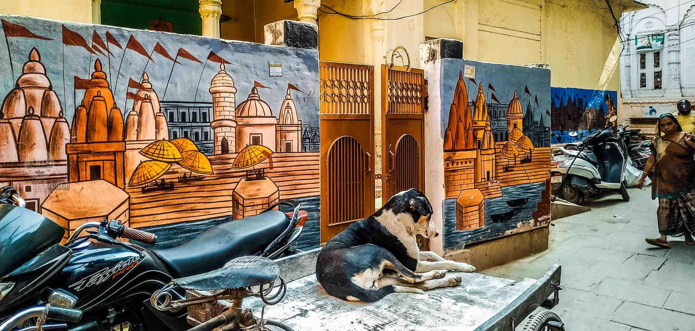 imagem n.12 de Passeio de um dia em Varanasi - Passeio de barco, caminhada, templo de ioga, luta livre atividade em Varanasi, carregada pelo fornecedor