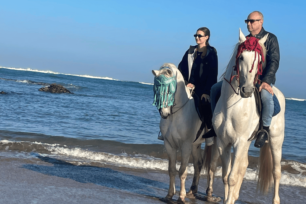 imagen n.º 11 de Casablanca: Paseos a caballo por la playa con traslados al hotel actividad en Tánger, subida por el proveedor