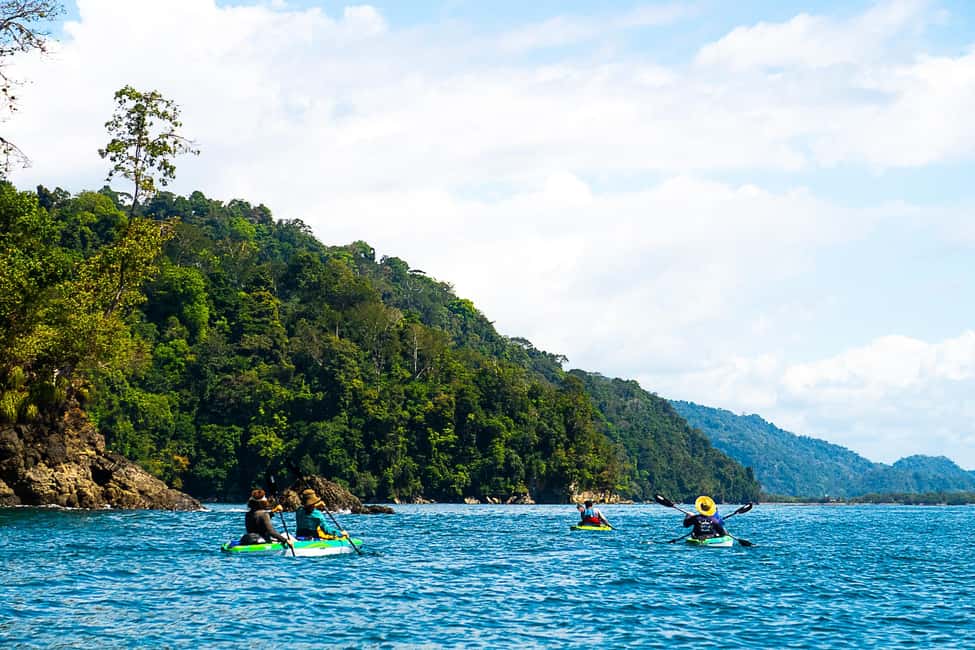 bild nr.7 av Uvita: Kajak & snorkling Privat tur - Marino Ballena N. Park aktivitet i Uvita, Costa Rica, uppladdad av arrangören