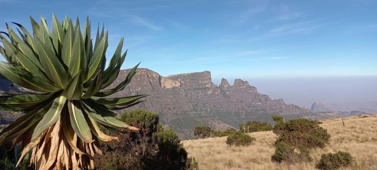 image n.2 of 3 Days Trekking & Wildlife Spotting in the Simien Mountains activity in Amhara Region, uploaded by supplier