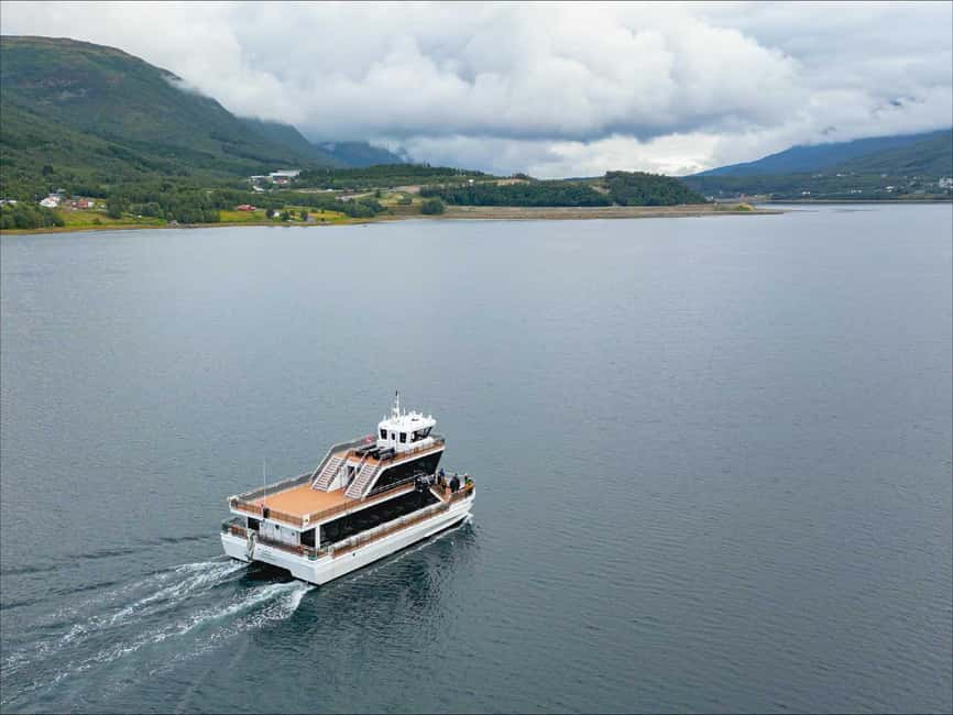 image n.27 of Tromsø: Arctic Fjord Cruise With Stop On Land At Fish Racks activity in Barents Sea, uploaded by supplier