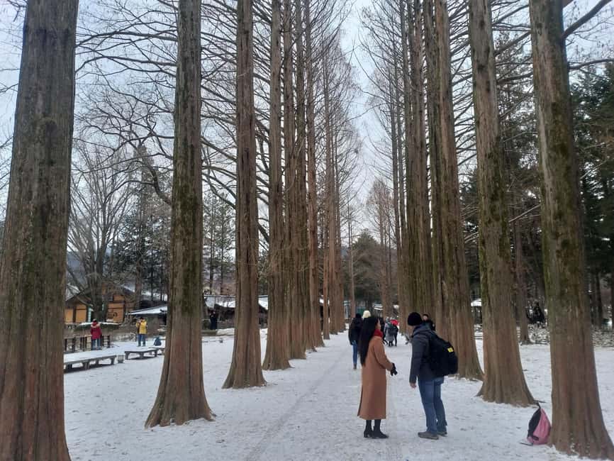 imagen n.º 6 de Seúl: Elysian Ski + Eobi Ice Valley + Nami actividad en Chuncheon, subida por el proveedor
