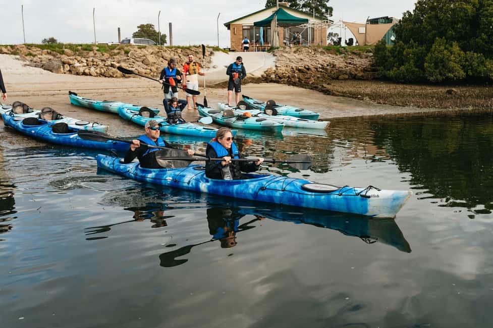 image n.6 of Adelaide: Dolphin Sanctuary Eco Kayaking Tour activity in Adelaide, uploaded by supplier