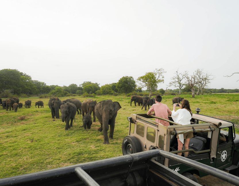 image n.1 of Kaudulla National Park Half Day Sri Lanka Jeep Safari activity in North Central Province, uploaded by supplier