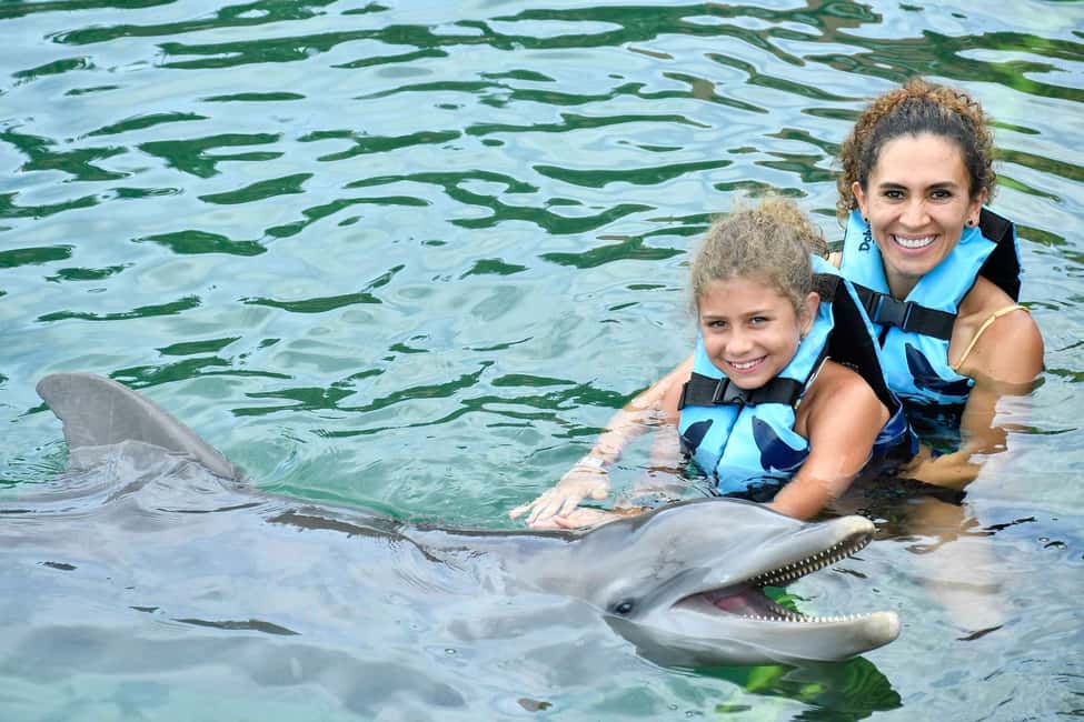 afbeelding n.5 van Puerto Aventuras: zwemmen met dolfijnen, zeeleeuwen, zeekoeien en lunch activiteit in Puerto Aventuras, geüpload door aanbieder