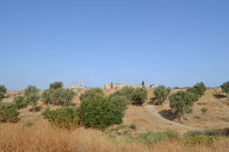 billede nr.28 af aktiviteten Dagstur fra Fes til Volubilis via Meknes og Moulay Idriss i Meknès, uploadet af udbyder