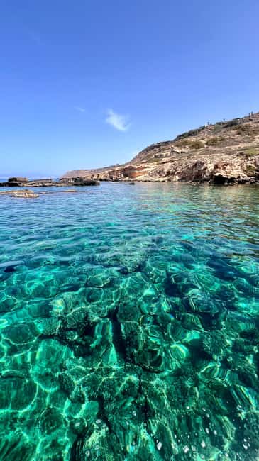 bild nr.4 av Privat båttur Playa de Palma Marine Reserve aktivitet i Balearerna, uppladdad av arrangören
