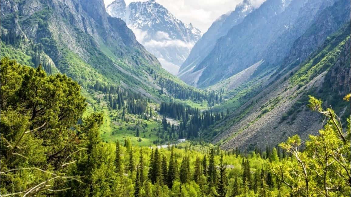 billede nr.5 af aktiviteten Fra Bishkek: Halvdagsudflugt til Ala-Archa Nationalpark i Bishkek, uploadet af udbyder