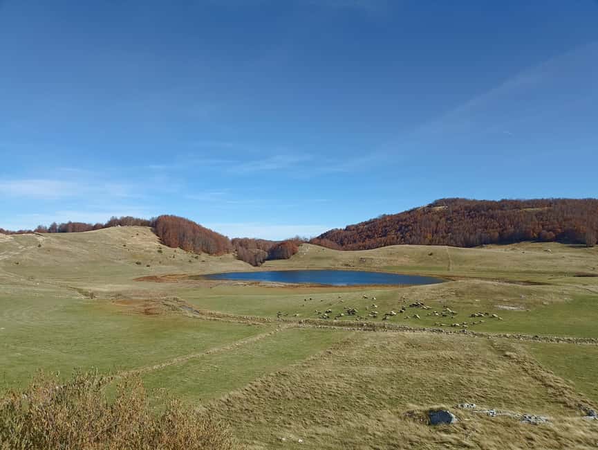 image n.11 of From Podgorica: Durmitor NP & Tara canyon-Amazing Montenegro activity in Žabljak, uploaded by supplier