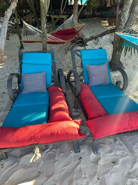 Image N°37 de Nassau : Plongée en apnée dans les récifs, tortues, déjeuner et club de plage privé activité à Bahamas, publiée par le prestataire