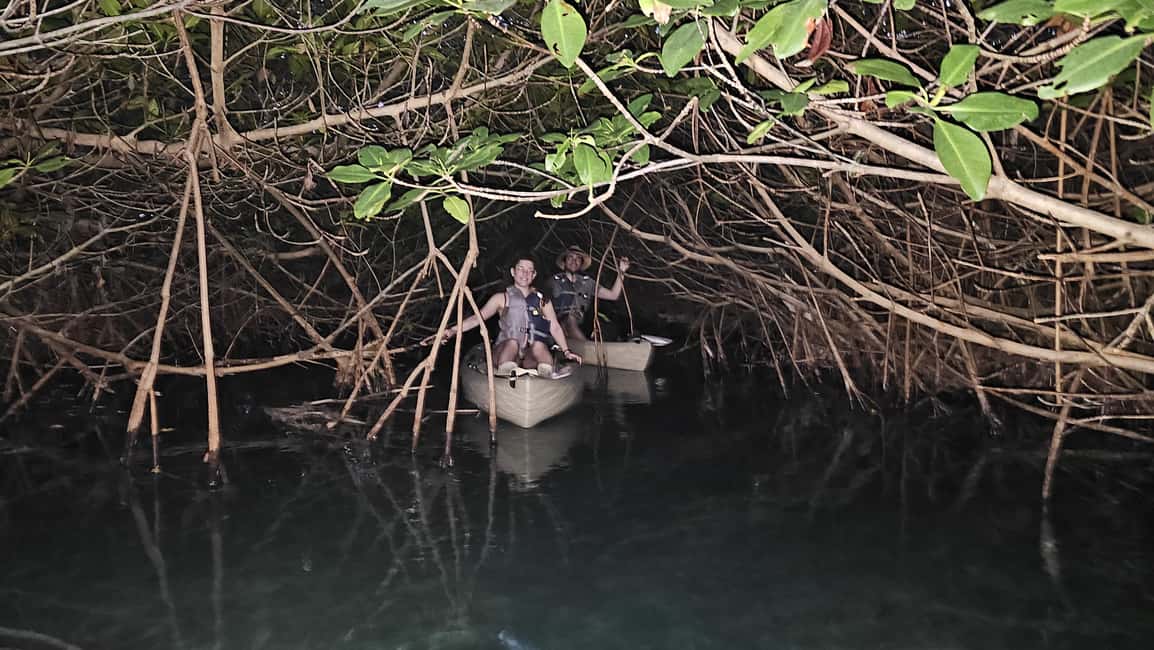 imagen n.º 14 de Cancún: Excursión en Kayak por la Laguna Nichupté actividad en Cancún, subida por el proveedor