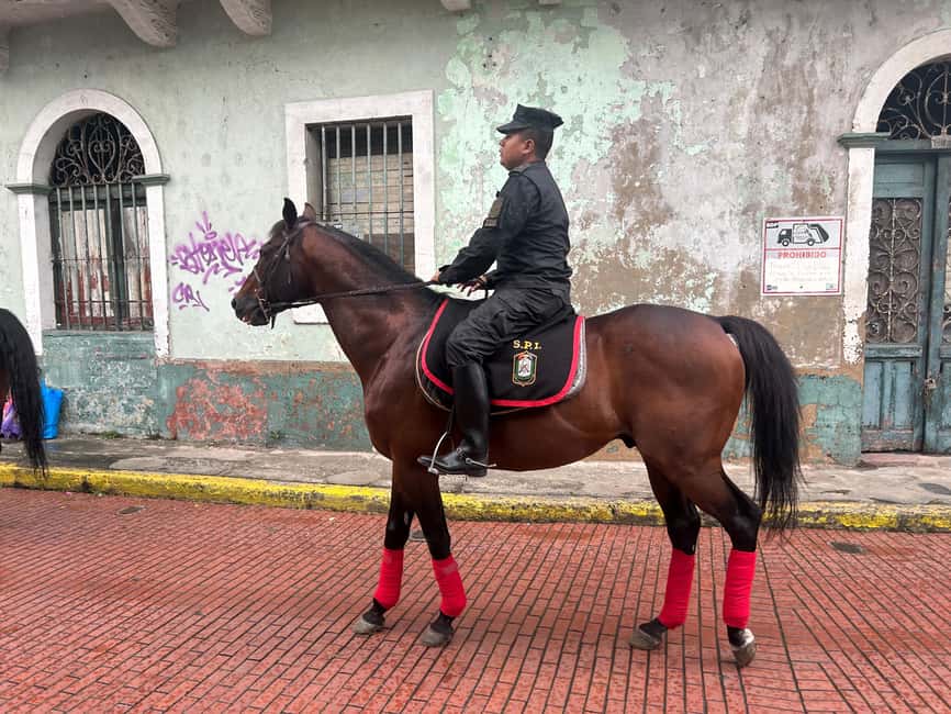 image n.13 of Panama Canal and Old Town City tour - Private activity in Panama City, uploaded by supplier