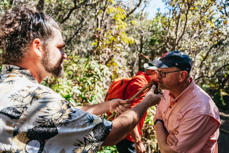 Immagine nº 21 di Hilo: escursione sul vulcano d'élite attività a Hawaii, caricata dal fornitore