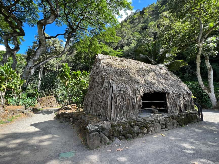 Immagine nº 18 di Oahu: Tour privato - Isola del Cerchio - personalizzabile attività a Honolulu, caricata dal fornitore