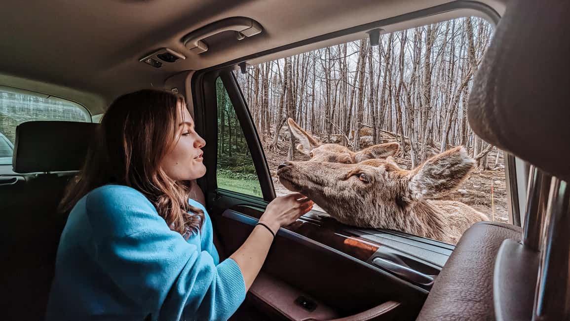 imagem n.15 de Otava: Safari privado de aventura na vida selvagem no Parc Omega atividade em Montebello, carregada pelo fornecedor