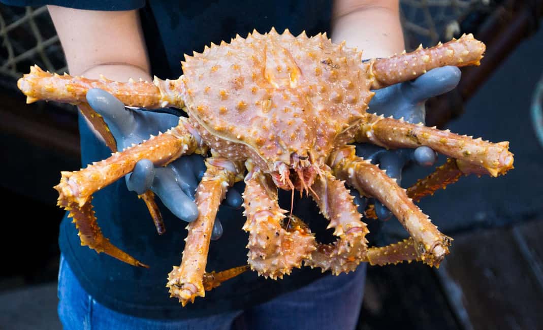image n.4 of Bering Sea Crab Fishermen's Tour activity in Ketchikan, uploaded by supplier