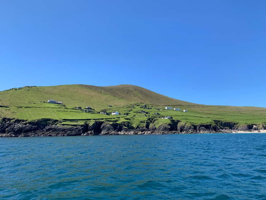 Obraz nr 10 z atrakcji Dingle: Wonders of Blasket Islands Sea Life Wycieczkowy rejs łodzią w Munster, przesłany przez organizatora