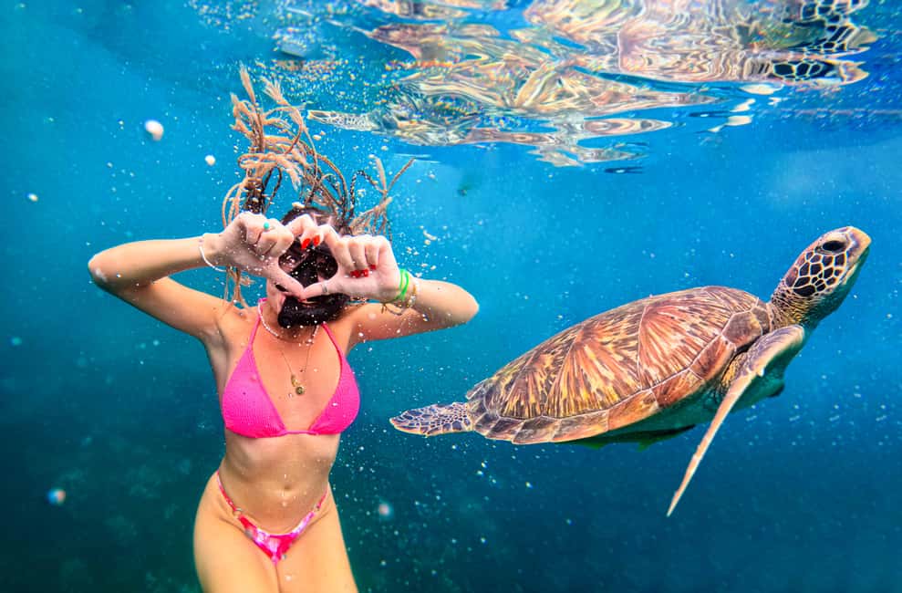 billede nr.10 af aktiviteten Privat charterbåd rundt i snorkelparadiset Koh Tao i Ko Tao, uploadet af udbyder