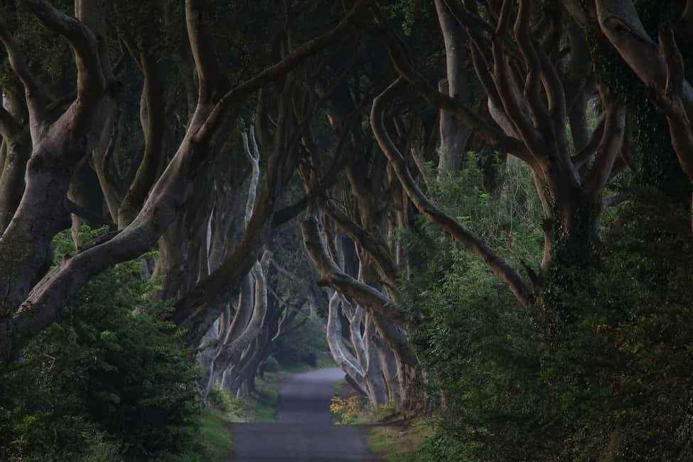 image n.14 of Giants causeway Irish castles & whiskey, Game of thrones activity in Bushmills, uploaded by supplier