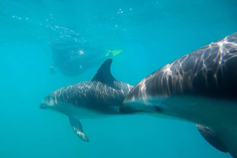 Immagine nº 46 di Hurghada: Escursione di un giorno a Orange Bay con sport acquatici e pranzo attività a Governatorato del Mar Rosso, caricata dal fornitore