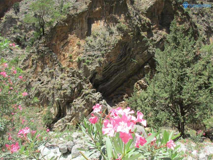 Immagine nº 27 di Da Rethymno: trekking di un giorno intero alle gole di Samaria, prelievo e guida attività a Rethymno, caricata dal fornitore