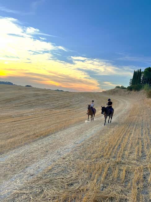 imagen n.º 10 de Siena: Paseos a caballo con Siena al fondo actividad en Siena, subida por el proveedor