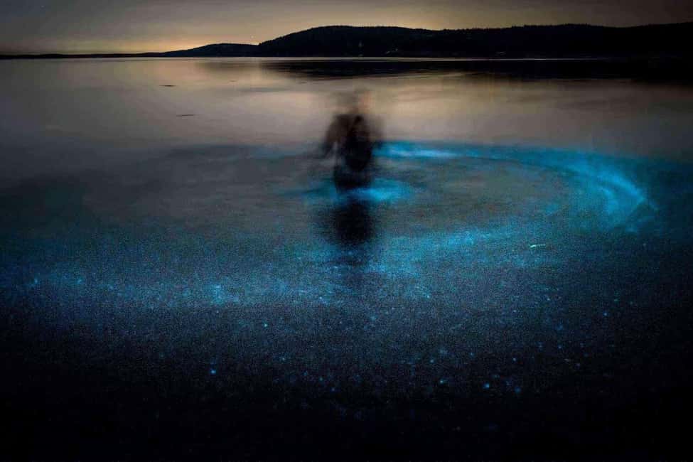 image n.3 of Cocoa Beach: Bioluminescent Paddle Raft Tour activity in Merritt Island, uploaded by supplier