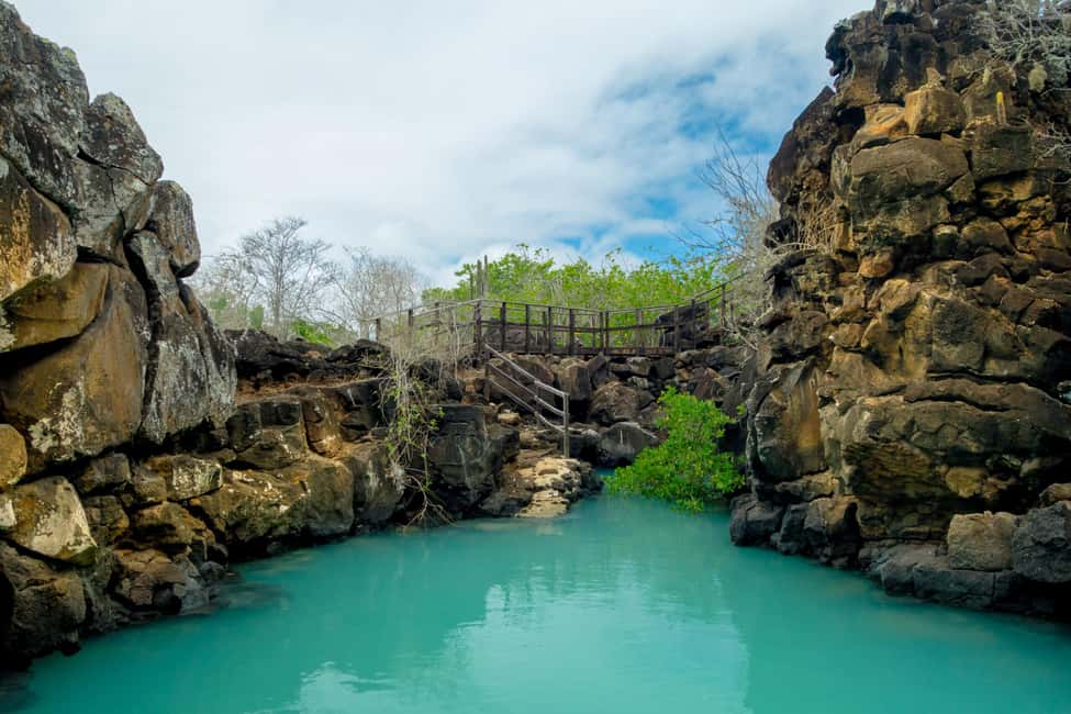image n.8 of Galapagos Highlights Tour: Santa Cruz in 4 Days activity in Puerto Ayora, uploaded by supplier