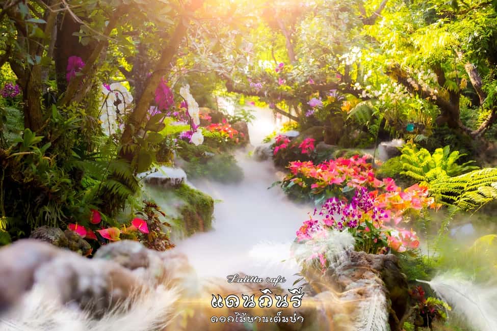 image n.7 of Chiangmai to Chiangrai: 3 Temples, Hot Springs& Lalitta Cafe activity in Chiang Rai, uploaded by supplier