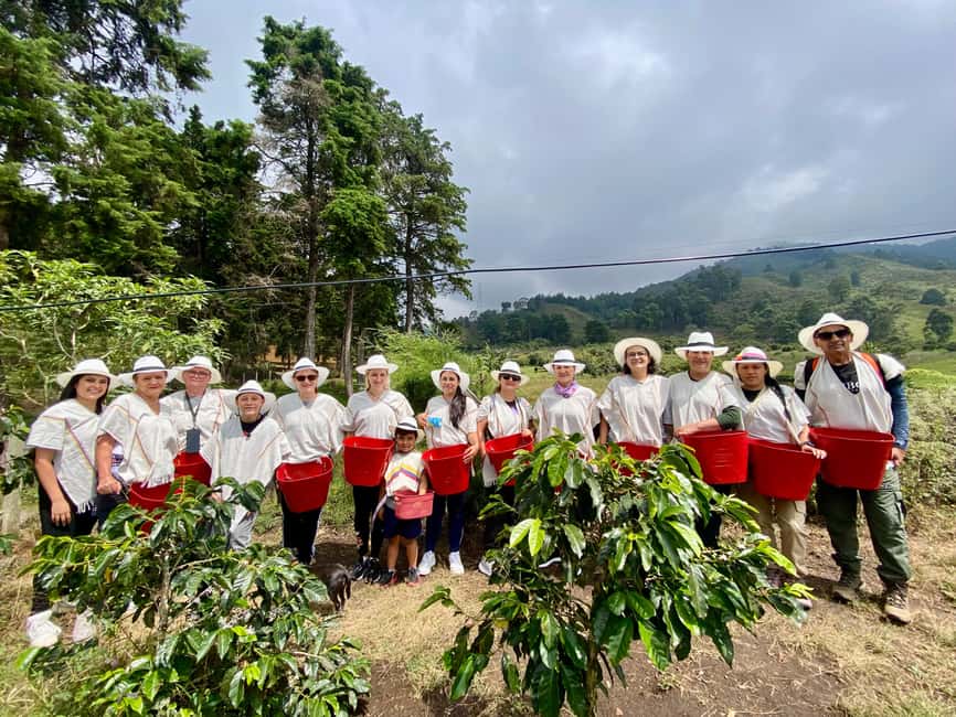 image n.14 of Medellín Coffee Farm Tour with Trolley and Cable Car Ride activity in Medellin, uploaded by supplier